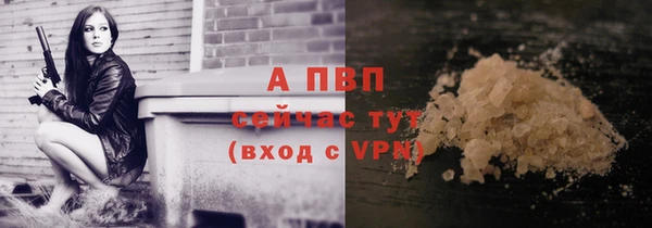 стаф Баксан