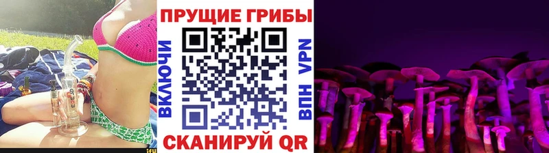 Галлюциногенные грибы Psilocybine cubensis  где можно купить   Красково 