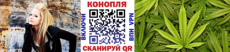 Канабис Amnesia  где найти наркотики  Красково 